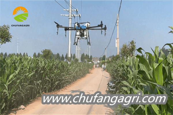 Drone spraying crops