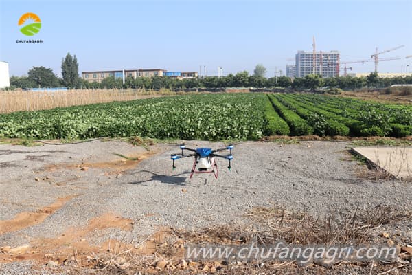 drones and agriculture