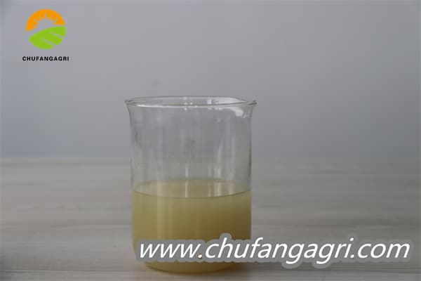 Chufangagri Microbial Agent-Bacillus amyloliticus