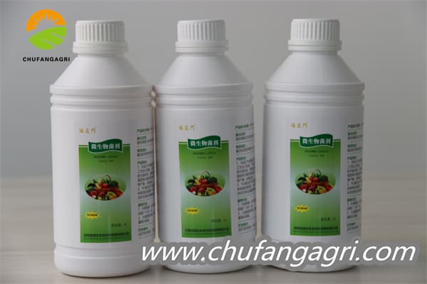 Chufangagri XMD Bacillus amyloliticus(BAA)