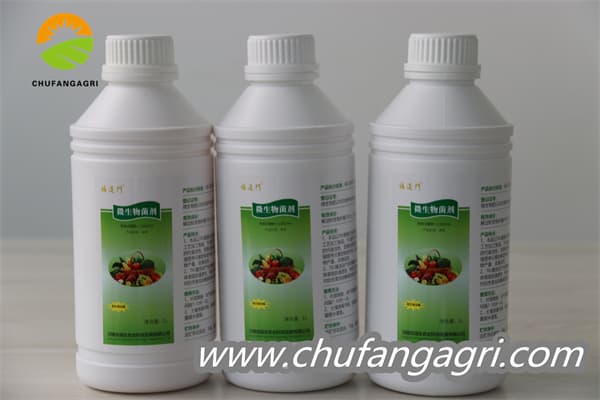 Chufangagri Bacillus amyloliquefaciens (TKJ)