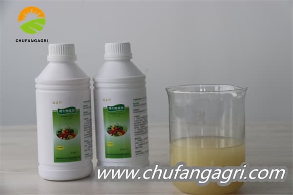 XMD Microbial agent-Bacillus amyloliticus(TKJ)