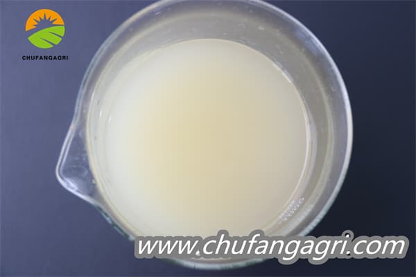 Chufangagri XMD Bacillus amyloliticus