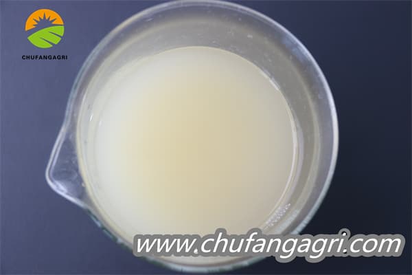 Chufangagri XMD Bacillus amyloliticus(BAA)