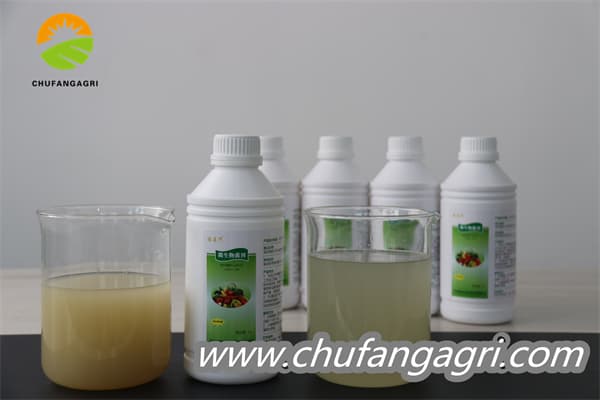 Chufangagri Bacillus amyloliticus