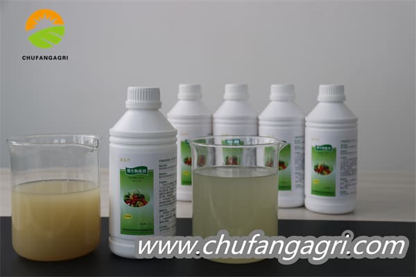 Chufangagri XMD Bacillus amyloliticus(BAA)