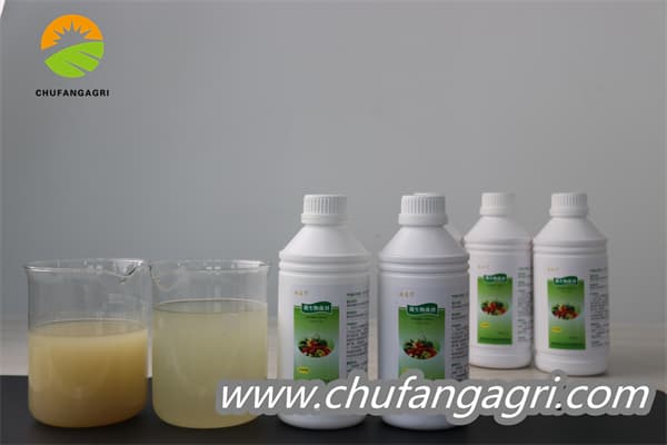 Chufangagri Bacillus amyloliquefaciens (TKJ)