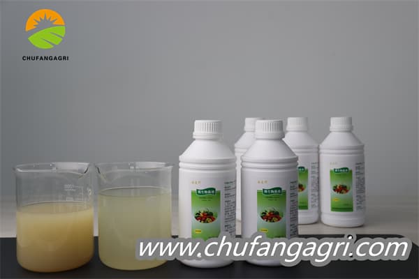 Chufangagri Bacillus amyloliticus(BAA)