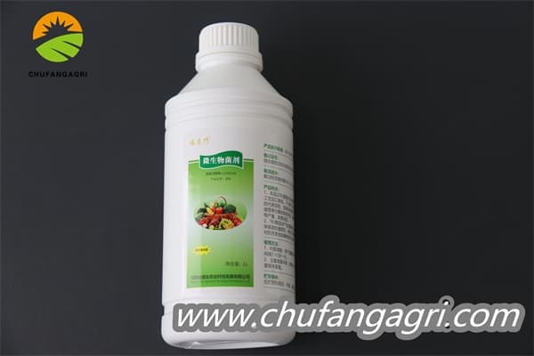 Chufangagri XMD Bacillus amyloliquefaciens (TKJ)