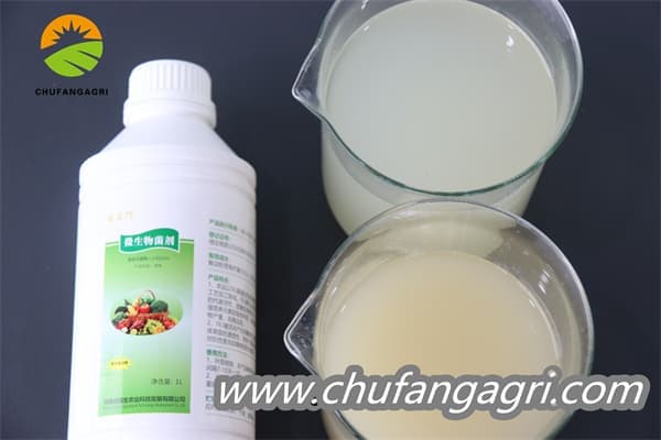 Chufangagri XMD Bacillus amyloliquefaciens (TKJ)