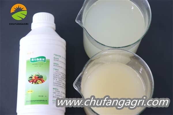 Chufangagri XMD Bacillus amyloliticus(BAA)