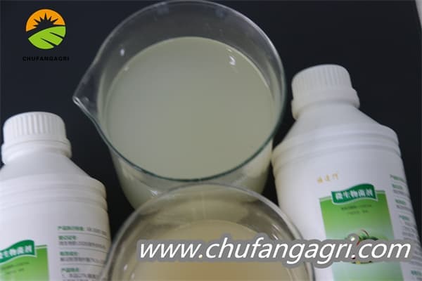 Chufangagri Bacillus amyloliquefaciens (TKJ)