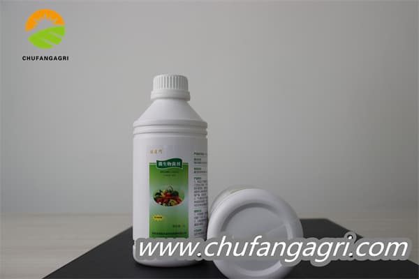 Chufangagri Bacillus amyloliticus(BAA)