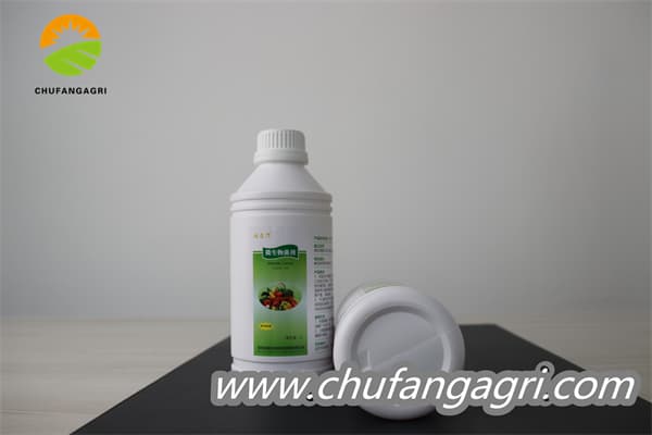 Chufangagri XMD Microbial Agent-Bacillus amyloliticus(BAA)