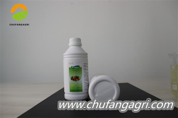 Chufangagri Bacillus amyloliquefaciens (TKJ)