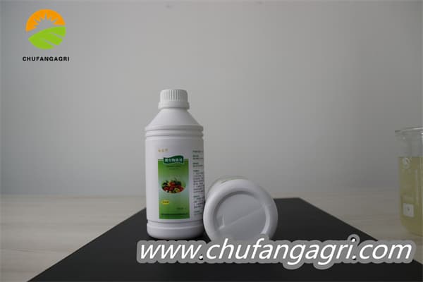 Chufangagri Bacillus amyloliticus(BAA)