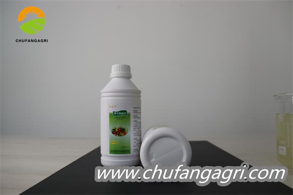 Chufangagri XMD Bacillus amyloliticus