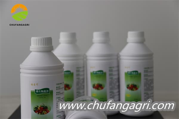 Chufangagri XMD Bacillus amyloliticus(BAA)