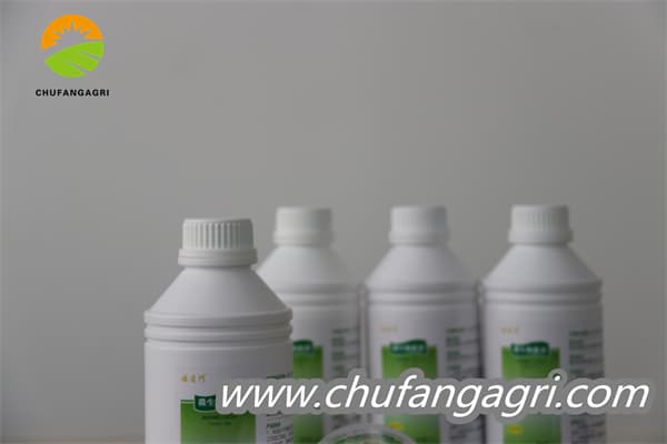 Chufangagri Bacillus amyloliticus(BAA)