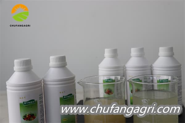 Chufangagri Bacillus amyloliticus(BAA)