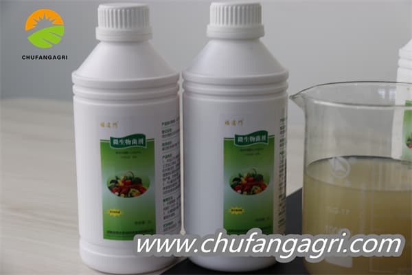 Organic biological agent, Agro organic fungicide