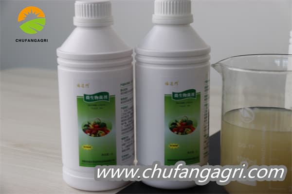 Chufangagri Bacillus amyloliticus(BAA)