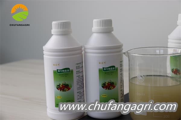 Chufangagri XMD Bacillus amyloliquefaciens (TKJ)