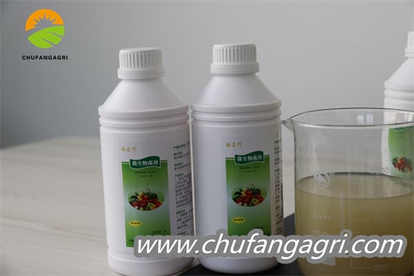 Chufangagri XMD Bacillus amyloliticus