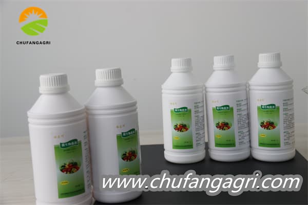 Chufangagri Bacillus amyloliticus(BAA)