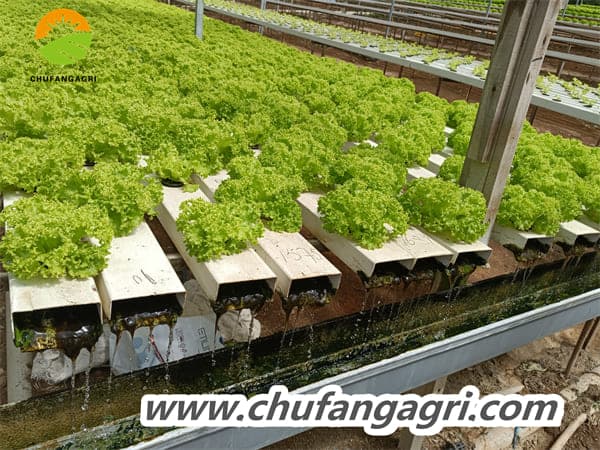 Water soluble fertilizer with humic acid