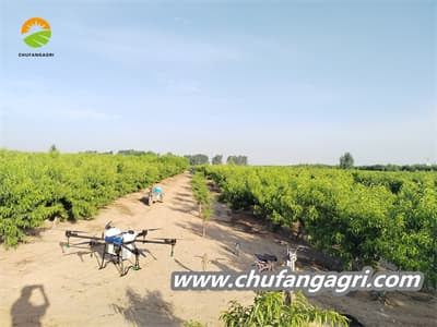 Agriculture drone spraying